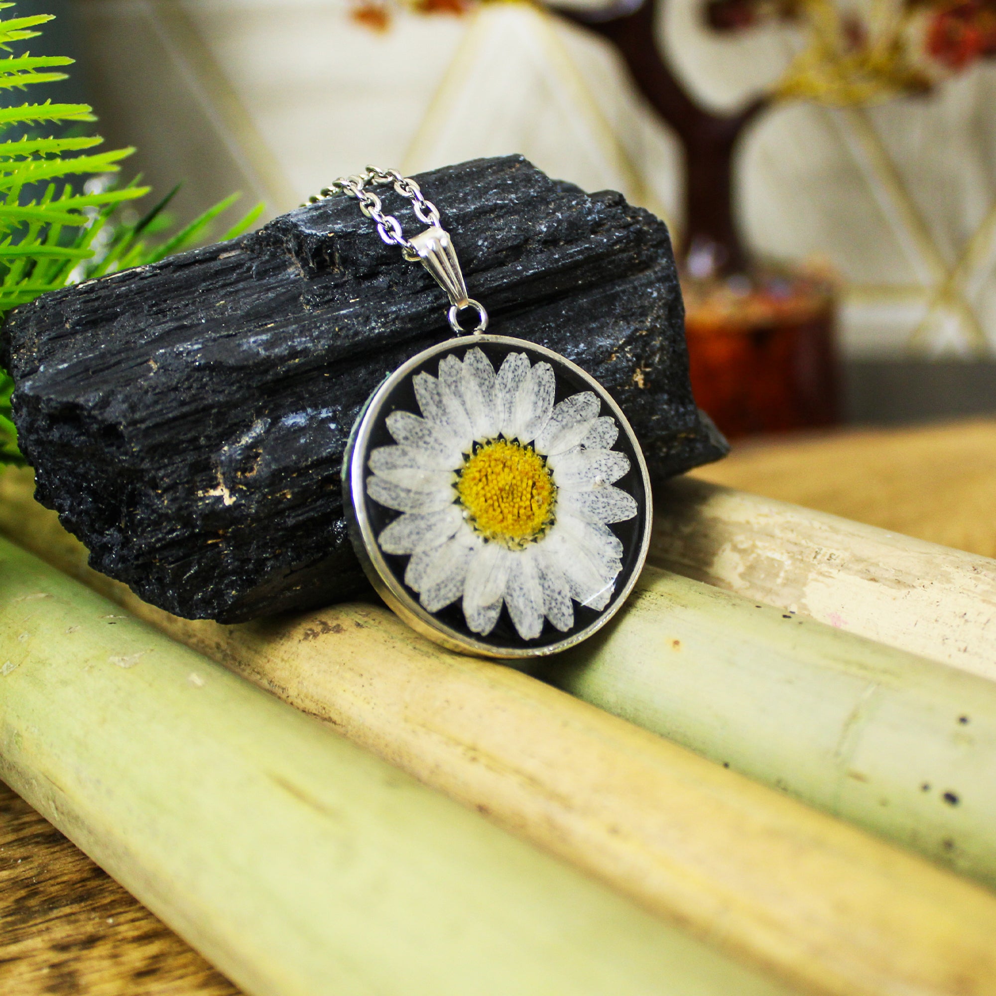 Eclipse Black Real Dried Daisy Flower Necklace