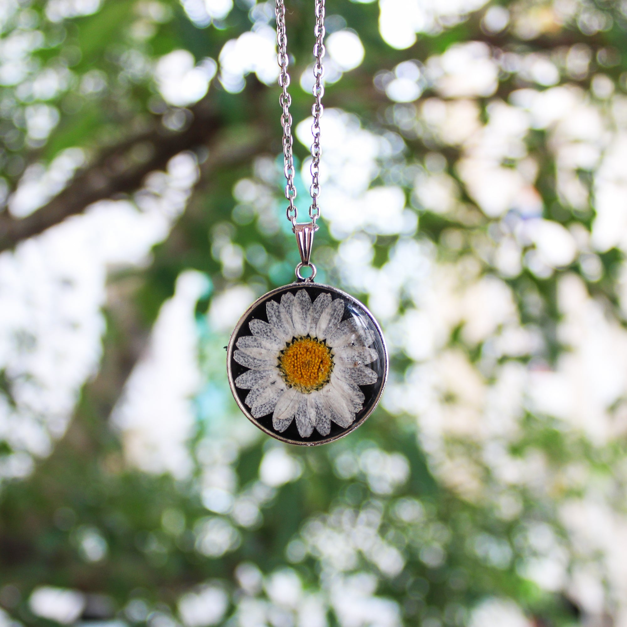 Eclipse Black Real Dried Daisy Flower Necklace