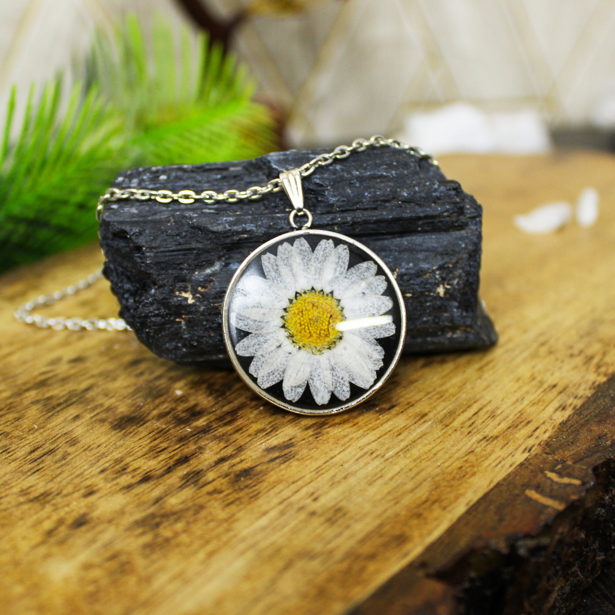 Eclipse Black Real Dried Daisy Flower Necklace