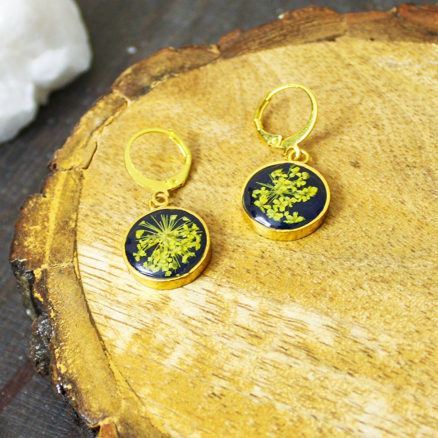 Celestial Blue Dried Real Sundrop Flower Drop Ear Rings