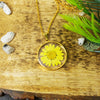 Sunshine Cascade Botanical Pendant with Real Daisy Flower